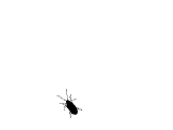 drunkdream